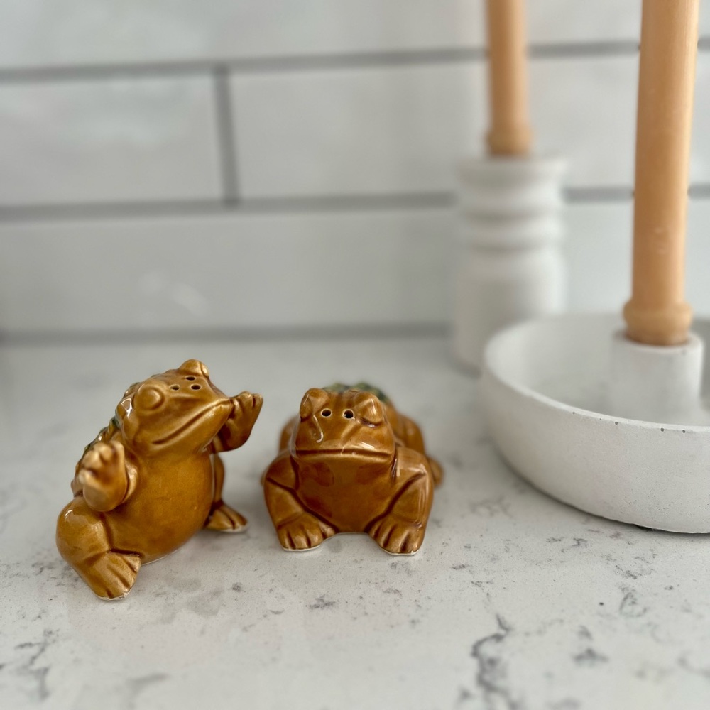Vintage Cane Toad Salt and Pepper Shakers - Picture 2 of 5